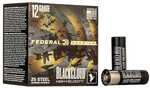 Fed Black Cloud HV 12Ga 3 1-1/8Oz #2 25